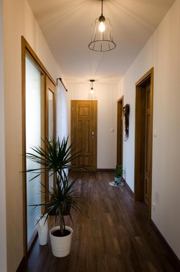 Apartmany U Kotacku Veverske Kninice Extérieur photo